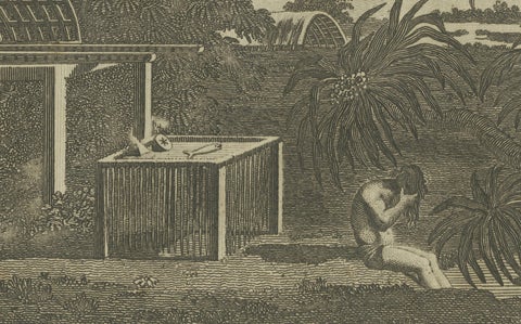A View of the Ewharrano Eatua, or House of God, in Huahine from Cook's Voyages, close-up 3