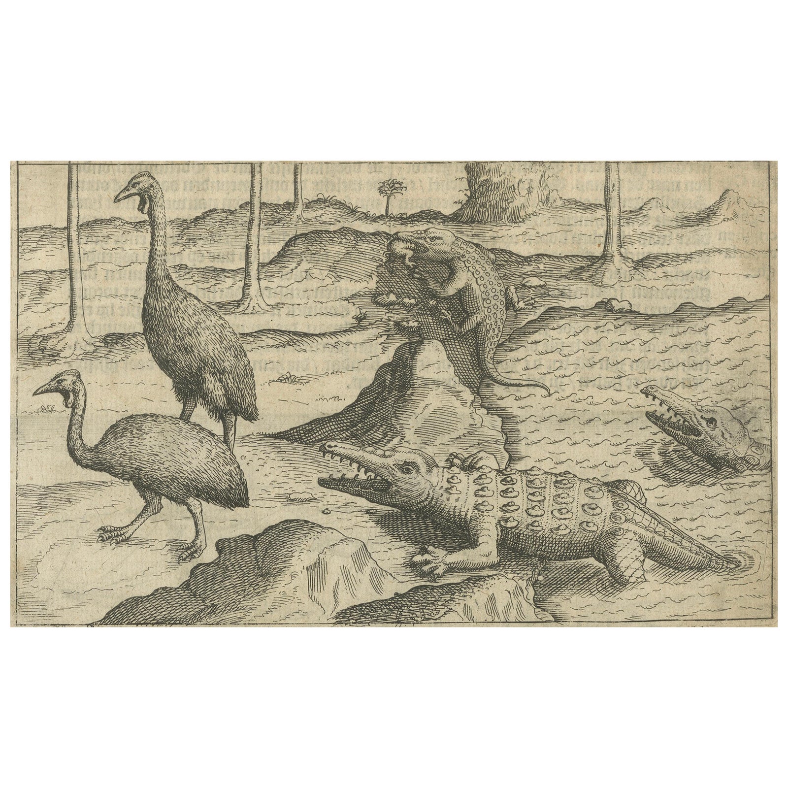 Early Dutch Exploration Scene with Exotic Wildlife and Naval Encounter, 1611