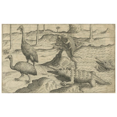 Early Dutch Exploration Scene with Exotic Wildlife and Naval Encounter, 1611