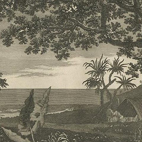 View of Tanna Island: A Glimpse into Vanuatu from Cook's Voyages, 1803, close-up 2