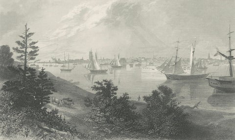 The City of Detroit, View from Canadian Shore, Antique Harbor Engraving, c.1872, close-up 4