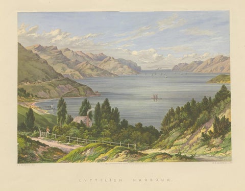 Antique Print of Lyttelton Harbour 'New Zealand' by Blatchley, circa 1877, view 4