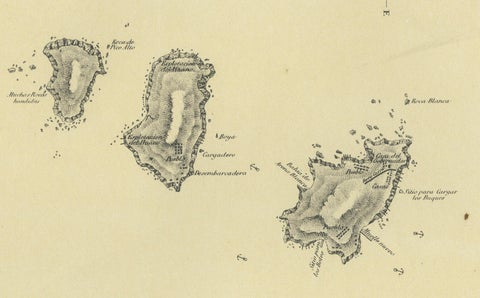 Chincha Islands Antique Lithograph 1865, Map & Coastal Scene, Peru, close-up 4