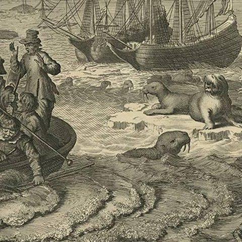 Antique Print of the Sea Voyage to Nova Zembla, Russia, circa 1730, close-up 1