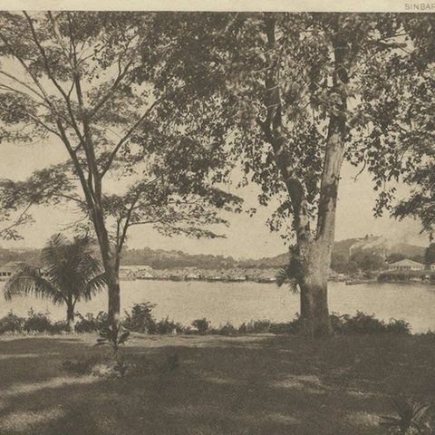 Rare Harbour Views of Colonial Singapore, 1907, close-up 2