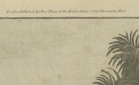 A View of the Ewharrano Eatua, or House of God, in Huahine from Cook's Voyages, close-up 4