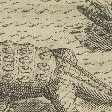 Early Dutch Exploration Scene with Exotic Wildlife and Naval Encounter, 1611, close-up 3