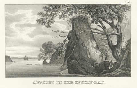 Scenic Views of Inseln Bay, New Zealand, from the Astrolabe Voyage, circa 1836, close-up 4