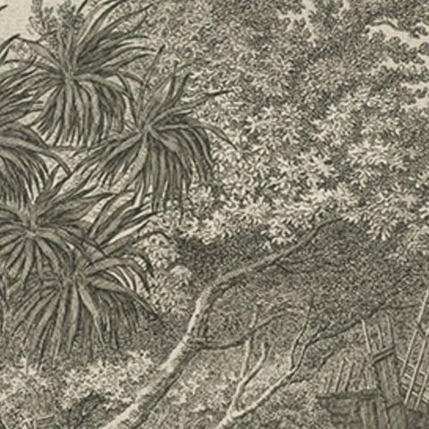 Human Sacrifice in a Morai, Tahiti, Cook Voyage Engraving c.1795, close-up 2