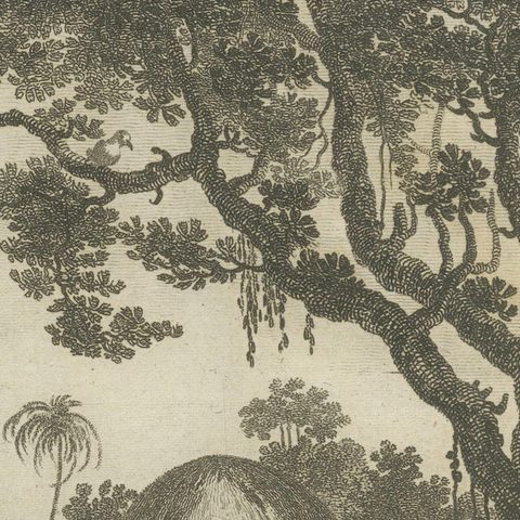 Serene Daily Life in New Caledonia: A Captured Moment from Cook's Voyages, 1784, close-up 4