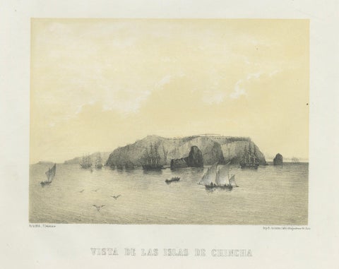 Chincha Islands Antique Lithograph 1865, Map & Coastal Scene, Peru, close-up 5
