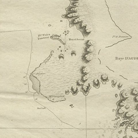 Antique Map of Kerguelens Island Coast in the Indian Ocean by Cook, 1785, close-up 1