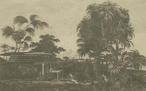 A View of the Ewharrano Eatua, or House of God, in Huahine from Cook's Voyages, close-up 2