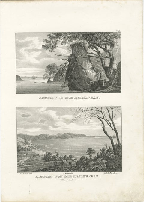 Scenic Views of Inseln Bay, New Zealand, from the Astrolabe Voyage, circa 1836, view 2