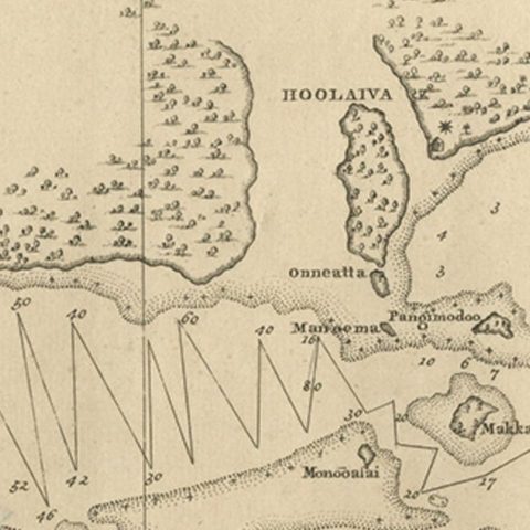 Antique Map of the Harbour of Tongatabu, One of the Tonga Islands, 1803, close-up 2