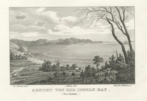 Scenic Views of Inseln Bay, New Zealand, from the Astrolabe Voyage, circa 1836, close-up 3