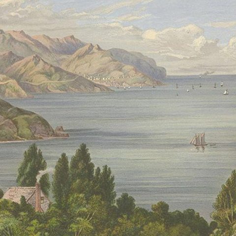 Antique Print of Lyttelton Harbour 'New Zealand' by Blatchley, circa 1877, close-up 2