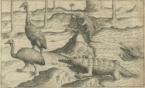 Early Dutch Exploration Scene with Exotic Wildlife and Naval Encounter, 1611, close-up 2