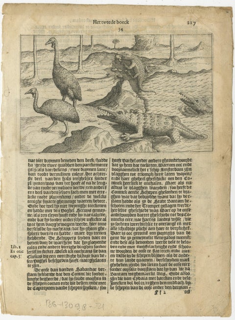 Early Dutch Exploration Scene with Exotic Wildlife and Naval Encounter, 1611, view 3