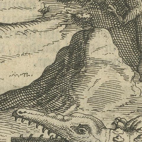 Early Dutch Exploration Scene with Exotic Wildlife and Naval Encounter, 1611, close-up 4