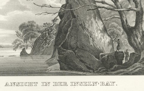 Scenic Views of Inseln Bay, New Zealand, from the Astrolabe Voyage, circa 1836, close-up 2
