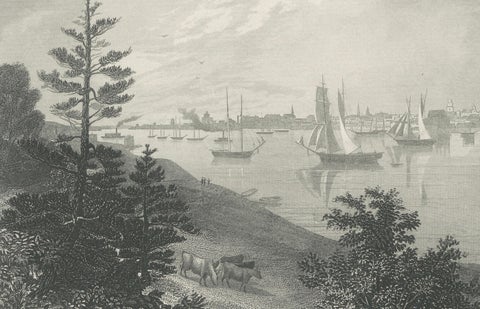 The City of Detroit, View from Canadian Shore, Antique Harbor Engraving, c.1872, close-up 2