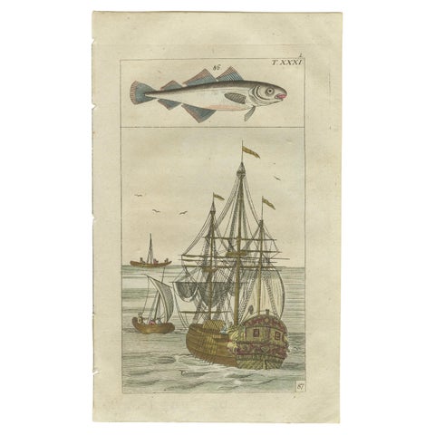 Antique Print of Cod and a Cod Fishing Ship
