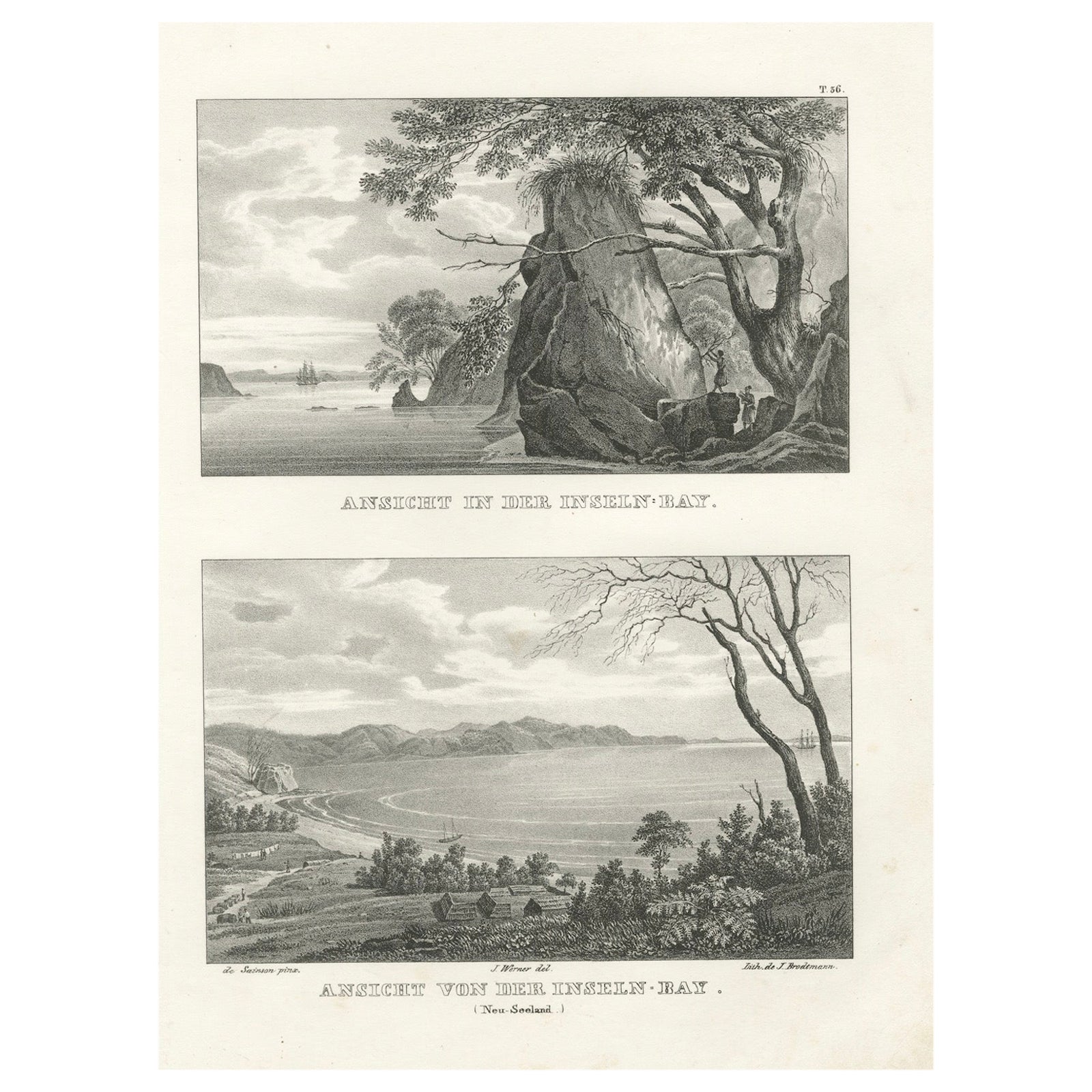 Scenic Views of Inseln Bay, New Zealand, from the Astrolabe Voyage, circa 1836