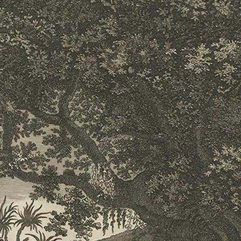 View of Tanna Island: A Glimpse into Vanuatu from Cook's Voyages, 1803, close-up 1