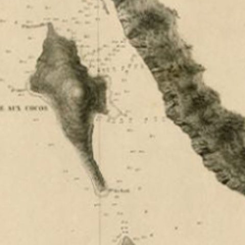 Antique Map of the Coast of New Ireland, Earlier Part of German New Guinea, 1833, close-up 2